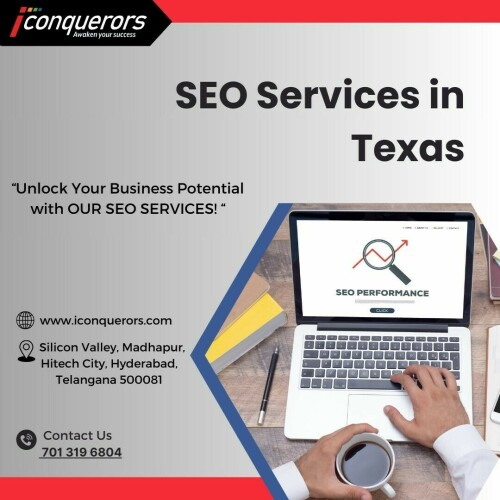 SEO Services in Texas