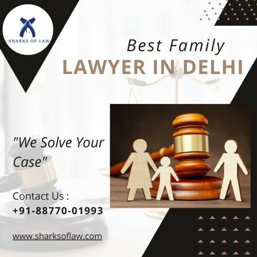 The top family lawyer in Delhi, Sharks of Laws, provides professional legal assistance for any family law issue, including divorce, child custody, alimony, and situations involving domestic abuse. Our empathetic and proficient legal professionals offer tailored attention and tactical direction to guarantee optimal results for our customers. Your rights and well-being are our top priorities, and we approach every case with tact and expertise. You can rely on Sharks of Laws to handle your family's legal matters with skill and consideration. For the best family law representation in Delhi, get in touch with us right now for a consultation.https://www.sharksoflaw.com/blog-detail/best-family-lawyers-in-delhi