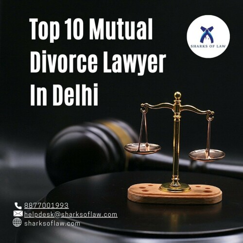 The top mutual divorce attorneys in Delhi, Sharks of Laws, provide knowledgeable legal assistance for civil separations. Our skilled staff takes care of every step of the procedure, from filing to the final decree, to guarantee a quick and easy process. We offer empathetic, tailored assistance to safeguard your rights and reduce anxiety. For easy solutions to a mutual divorce, trust Sharks of Laws. For a consultation, reach out to us right now.
https://www.sharksoflaw.com/blog-detail/mutual-divorce-lawyer-in-delhi