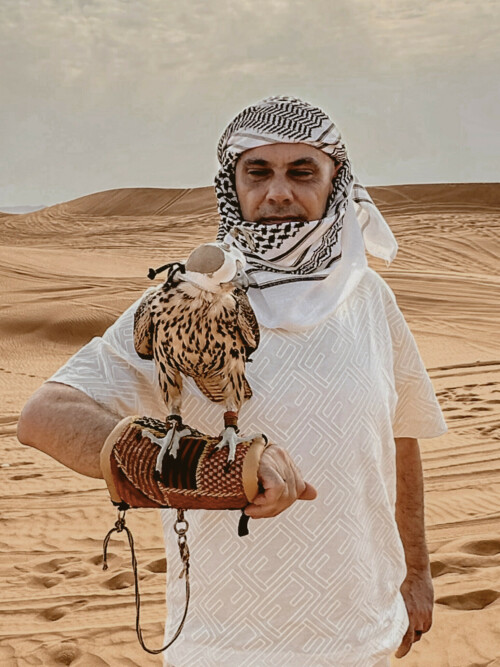 ibrahim murat gunduz desert falcon