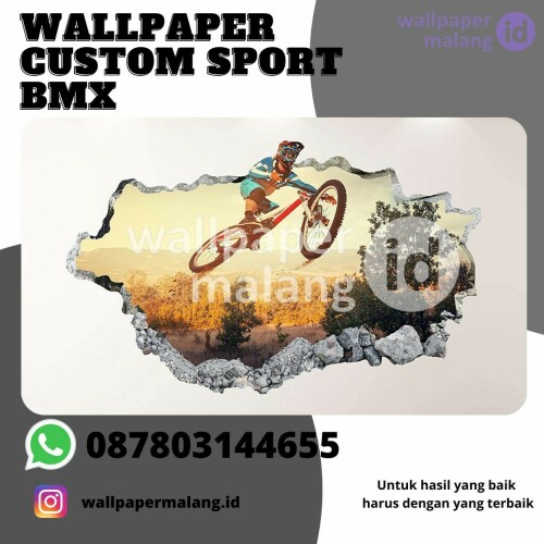 wallpaper custom sport bmx