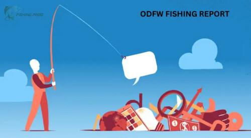 ODFW FISHING REPORT
The Oregon Department of Fish and Wildlife (ODFW) fishing report is a valuable resource for anglers seeking up-to-date information on fishing conditions, regulations, and species abundance in Oregon's diverse waterways. This comprehensive report is regularly updated to provide anglers with the latest insights to enhance their fishing experiences. The ODFW fishing report covers a wide range of fishing opportunities across the state, including rivers, lakes, streams, and coastal areas. It includes information on popular game fish species such as trout, salmon, steelhead, bass, and more, as well as lesser-known species that inhabit Oregon's waters.
READ MORE:
At fishingproo.com, we understand that staying informed about current fishing conditions is essential for a productive day on the water. That's why our reports include details on water levels, temperatures, clarity, and recent stocking efforts. Whether you're targeting trout, salmon, steelhead, bass, or any other species, our reports will help you identify the best locations and techniques for a successful catch. https://fishingproo.com/odfw-fishing-report/