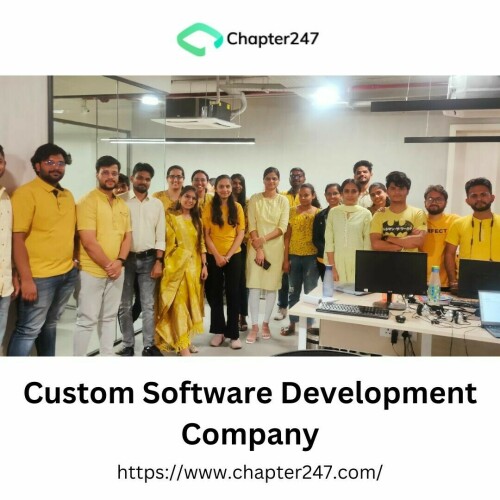 Custom Software Development Company (1)